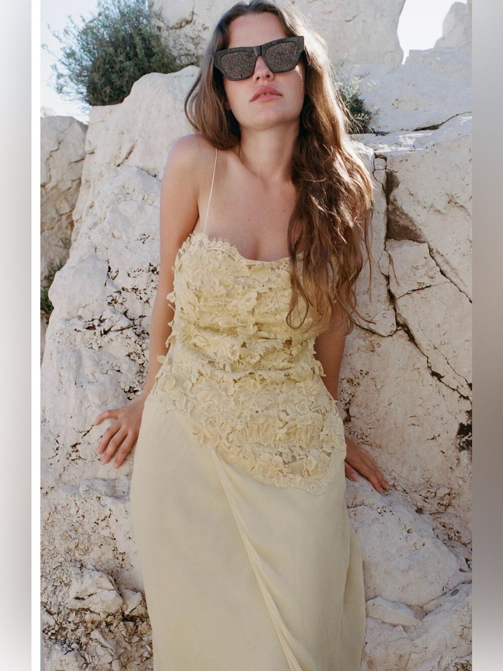 Zara Embossed Lace Georgette Dress